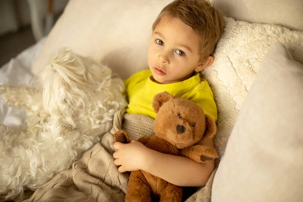 かわいいです就学前の男の子とペット犬 一緒に家でベッドで遊ぶ — ストック写真