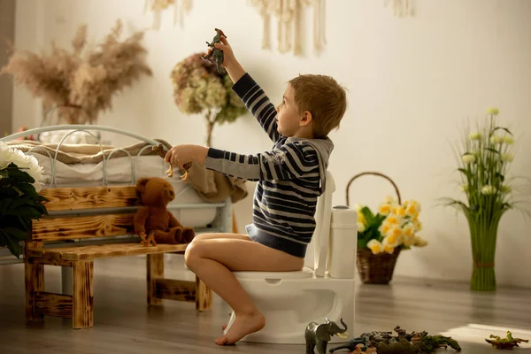 可爱的幼儿 在家里用便盆 玩玩具的时候 便盆训练 — 图库照片