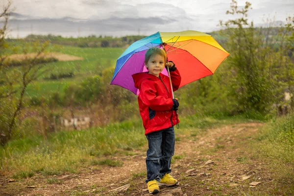 ペット犬とかわいい就学前の子供 カラフルな虹の傘を持ち 公園の春の自然を歩く — ストック写真