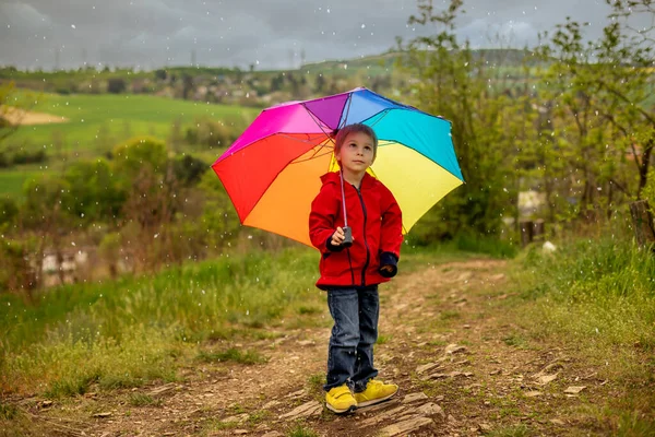 Cute Preschool Child Pet Dog Holding Colorful Rainbow Umbrella Walking — Zdjęcie stockowe