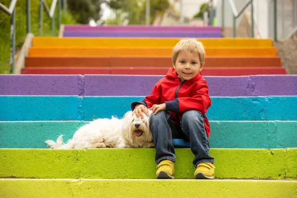 Cute Preschool Child Pet Dog Holding Colorful Rainbow Umbrella Sitting — Stock Photo, Image