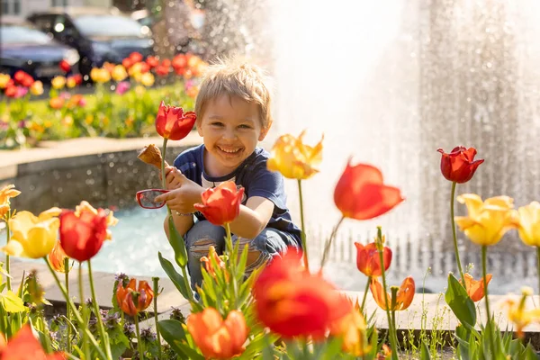 Bambino Bambino Carino Mangiare Gelato All Aperto Nel Parco Fiori — Foto Stock