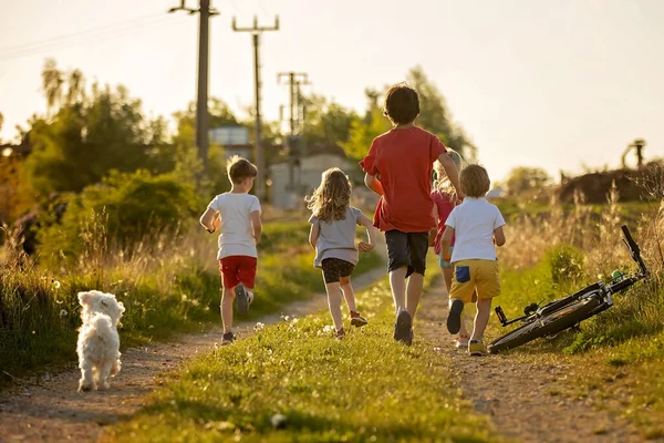 Happy Group Children Pet Dog Maltese Breed Running Park Sunset — Stockfoto