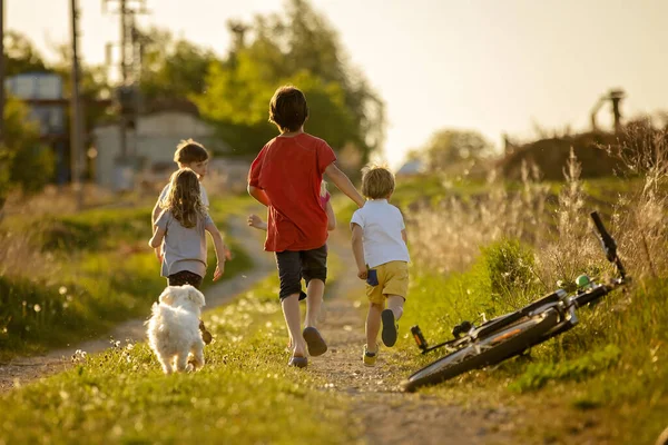 Fröhliche Kinderschar Und Streichelhund Maltesische Rasse Bei Sonnenuntergang Park Laufen — Stockfoto