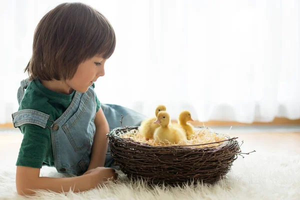 Schattig Klein Kind Jongen Met Eendjes Lente Samenspelen Kleine Vriend — Stockfoto