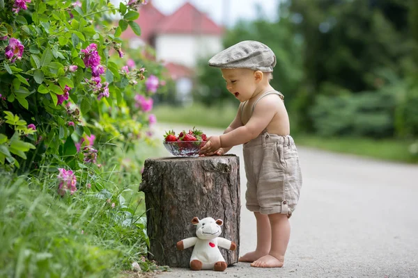 Dulce Niño Niño Pequeño Disfrutando Tazón Sabrosas Fresas Recién Recogidas —  Fotos de Stock