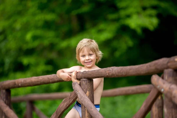 Carino Bambino Piccolo Bambino Ragazzo Piedi Una Recinzione Nel Parco — Foto Stock