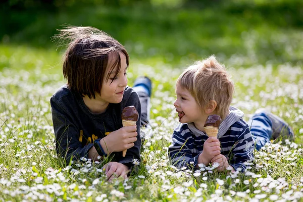 Enfants Mignons Garçons Manger Crème Glacée Dans Parc Printemps — Photo