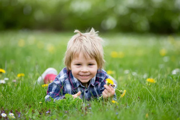 Schönes Kleines Blondes Kind Netter Junge Gras Liegend Gänseblümchen Und — Stockfoto