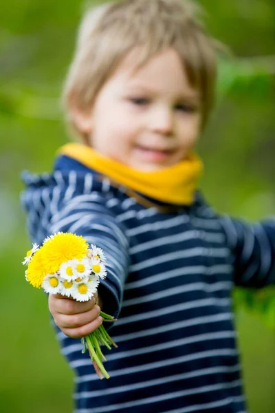 Piękne Dziecko Blondynka Ładny Chłopiec Leżące Trawie Stokrotki Mniszki Kwiatowe — Zdjęcie stockowe