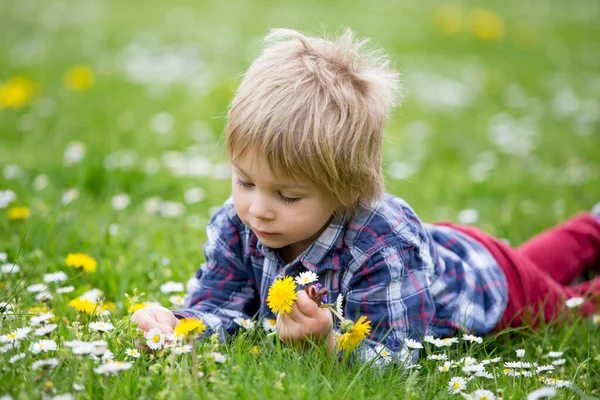 Beautiful Toddler Blond Child Cute Boy Lying Grass Daisy Dandelions — Stock Photo, Image