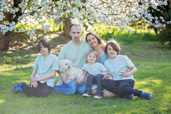 Gyönyörű Család Gyerekekkel Anya Apa Három Fiú Egy Kutya Együtt — Stock Fotó