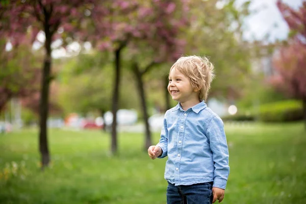 Блондинистый Ребенок Милый Мальчик Повседневной Одежде Играет Мыльными Пузырями Парке — стоковое фото