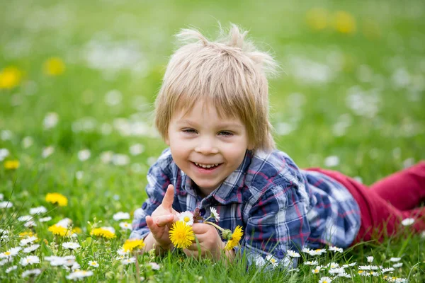 Beautiful Toddler Blond Child Cute Boy Lying Grass Daisy Dandelions Stock Photo