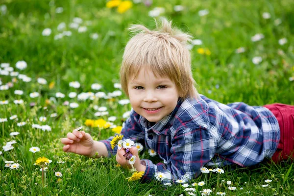 Beautiful Toddler Blond Child Cute Boy Lying Grass Daisy Dandelions Stock Photo