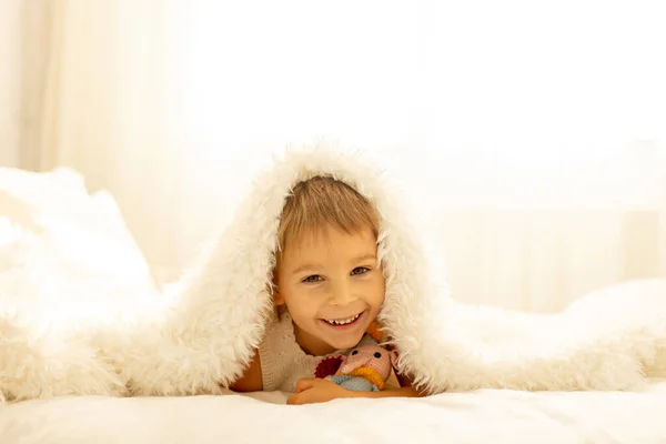 Criança Pequena Garoto Bonito Com Tricô Pequeno Brinquedo Animal Bonito — Fotografia de Stock