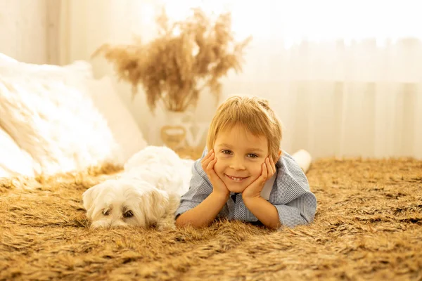 Söt Liten Pojke Med Sin Hund Sängen Leker Sommardag — Stockfoto