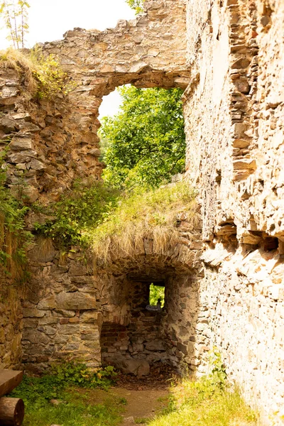 Ruines Divci Kamen Château Maiden Stone République Tchèque Près Ceske — Photo