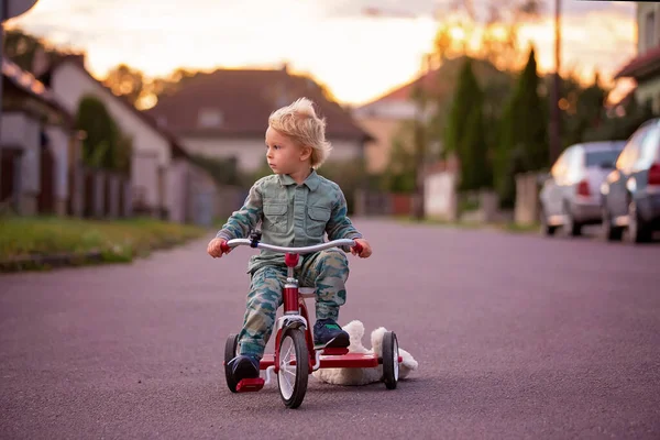 Тоддлер Ребенок Блондин Мальчик Езда Трехколесном Велосипеде Деревне Небольшой Дороге — стоковое фото
