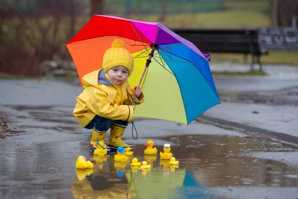 美しい面白いブロンドの幼児の男の子とゴム製のアヒルとカラフルな傘 水たまりに飛び込んで雨の中で遊んで — ストック写真