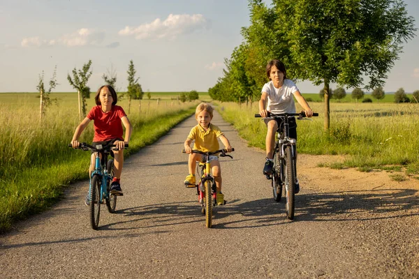 아이들아 형제들아 여름날에는 자전거를 공원에서 말하고 웃으면서 — 스톡 사진