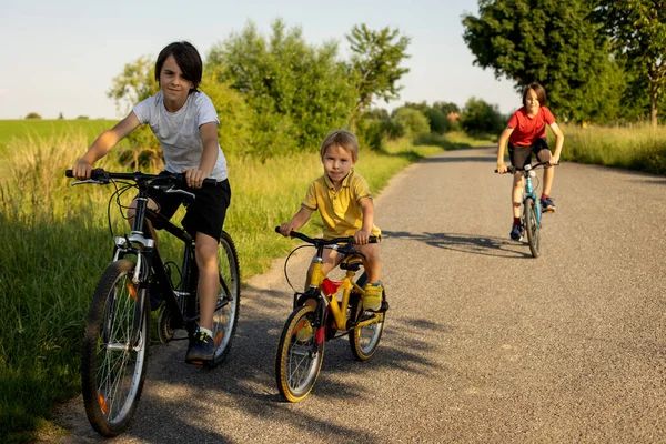 かわいい幸せな子供たち 晴れた夏の日に公園で自転車に乗って 話して笑っています — ストック写真