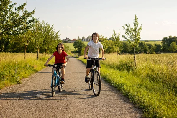 Cute Happy Children Brothers Riding Bikes Park Sunny Summer Day — Stock Photo, Image
