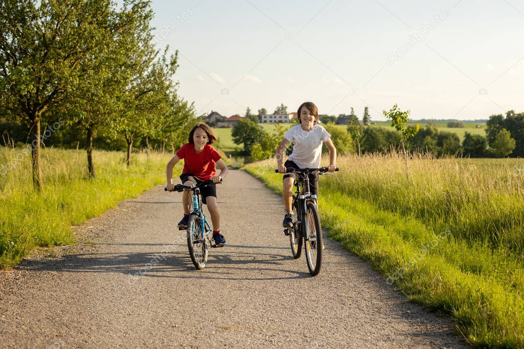 Cute happy children, brothers, riding bikes in the park on a sunny summer day, talking and laughing