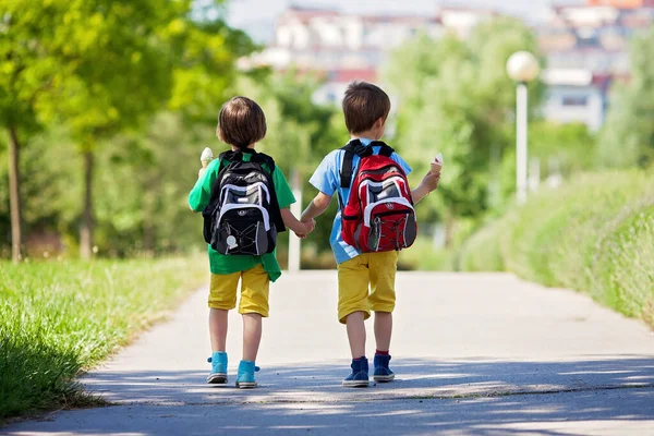 Zwei Entzückende Jungen Bunten Klamotten Und Rucksäcken Gehen Weg Halten — Stockfoto