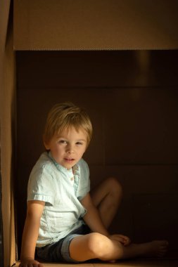 Sevimli çocuk ve Malta evcil köpeği, karton kutuda saklanıyorlar, birlikte oynuyorlar.