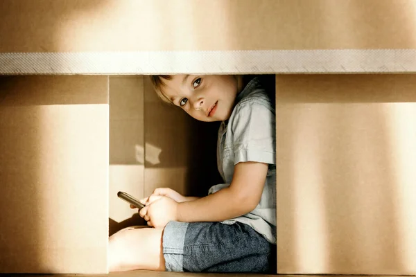 Lindo Niño Pequeño Perro Maltés Mascota Escondido Caja Cartón Jugando — Foto de Stock