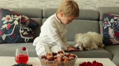 Sevimli bir çocuk, evcil köpeği olan bir çocuk, evde kardeşleriyle kızarmış donut yiyor, tatlı bir kahvaltı yapıyor.