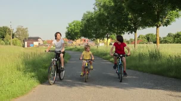 Lindos Niños Felices Hermanos Montar Bicicleta Parque Día Soleado Verano Vídeo De Stock