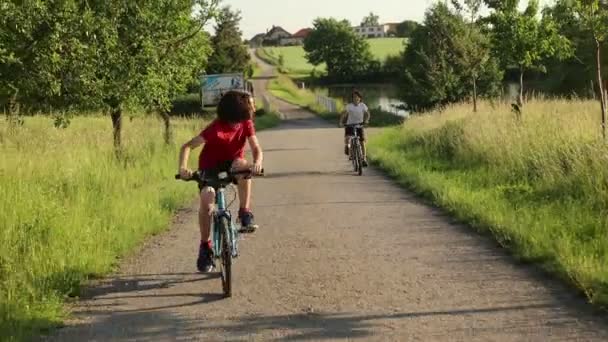可爱的孩子们 兄弟们 在阳光明媚的夏日 骑着自行车在公园里玩耍 谈笑着 视频剪辑