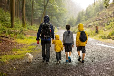 Father and three children with pet maltese dog, walking in a forest in a heavy rain day summertime