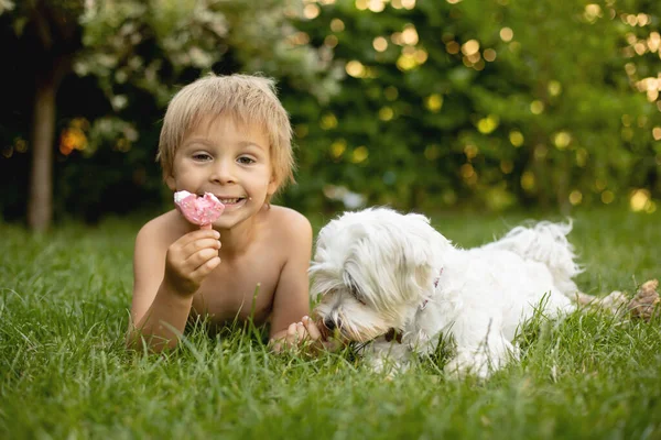 Χαριτωμένο Παιδί Αγόρι Και Μαλτέζικο Σκυλί Του Τρώει Παγωτό Ντόνατ — Φωτογραφία Αρχείου