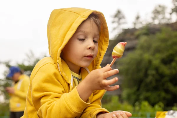 Child Boy Visiting Pravcicka Brana Hrensko Czech Republic Rainy Summer — Stockfoto