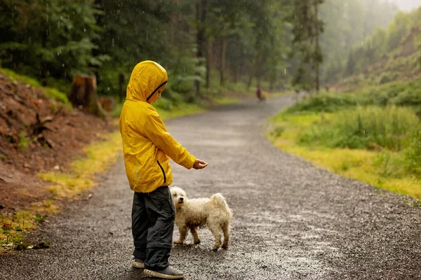 Father Three Children Pet Maltese Dog Walking Forest Heavy Rain — Zdjęcie stockowe