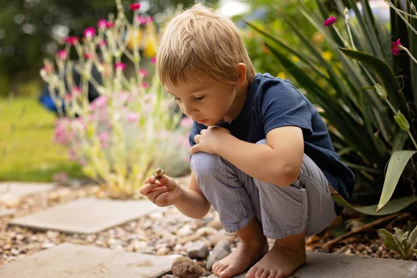Sweet Barefoot Toddler Child Playing Little Snail — Zdjęcie stockowe