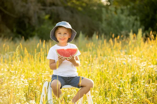 Cute Little Toddler Child Blond Boy Eating Watermelon Beautiful Daisy — Stok fotoğraf