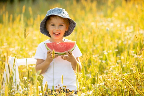 Cute Little Toddler Child Blond Boy Eating Watermelon Beautiful Daisy — Stock fotografie