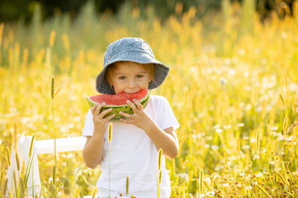 Cute Little Toddler Child Blond Boy Eating Watermelon Beautiful Daisy — Stok fotoğraf