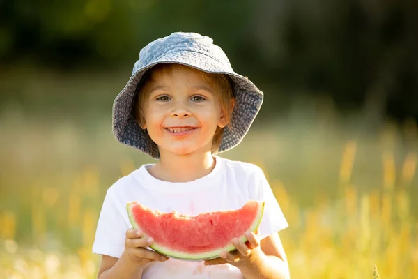 Cute Little Toddler Child Blond Boy Eating Watermelon Beautiful Daisy — Foto Stock