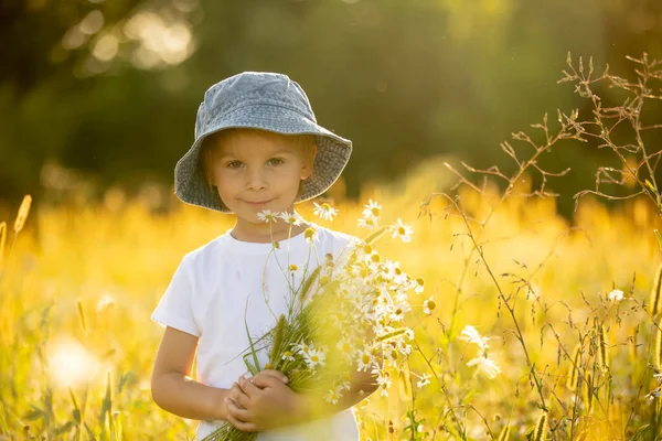 Симпатичный Маленький Ребенок Блондин Ест Арбуз Красивом Поле Ромашки Закате — стоковое фото