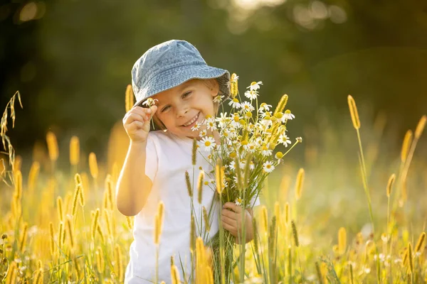 Cute Little Toddler Child Blond Boy Eating Watermelon Beautiful Daisy — 스톡 사진