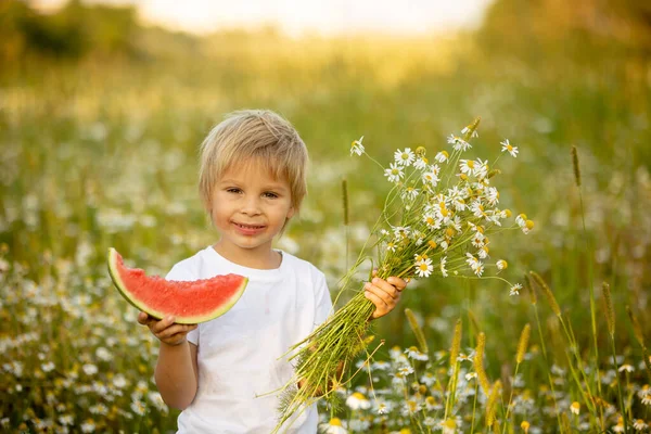 Cute Little Toddler Child Blond Boy Eating Watermelon Beautiful Daisy — Stock fotografie