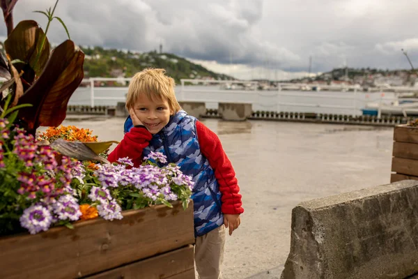 Child Visiting Little Town South Norway Arendal Rainy Summer Day — Stock Photo, Image