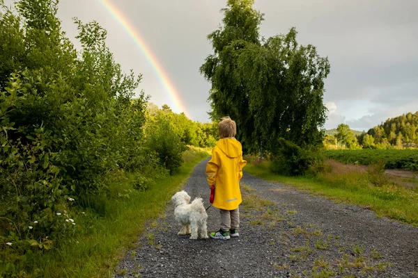 Little Child Yellow Raincoat Maltese Dog Walking Path Rainbow Front — Foto Stock