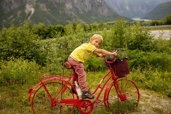 Beautiful Colorful Bikes Road Norway Used Decoration — Stok fotoğraf