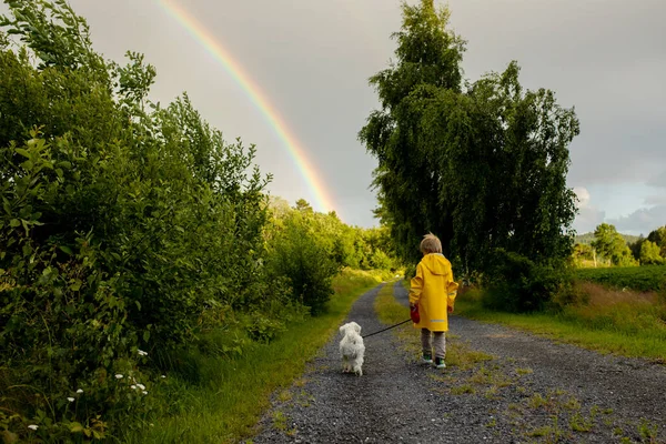 Little child with yellow raincoat and maltese dog, walking on a path, rainbow in front of him, Norway nature